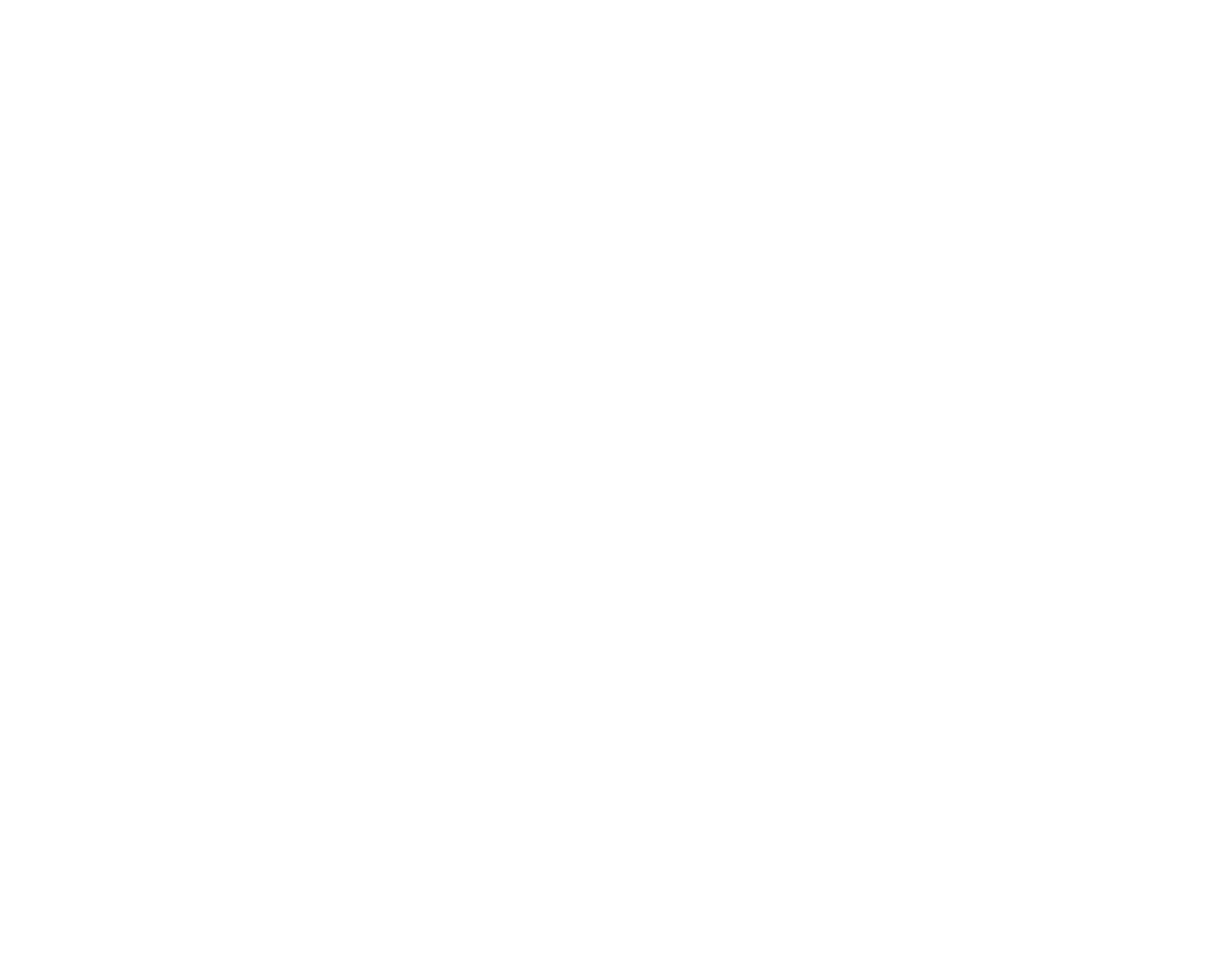 U.S. Air Force